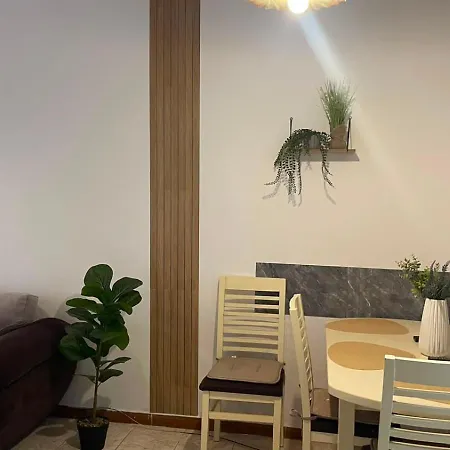 Myslym Shyri,tirane * 地拉那